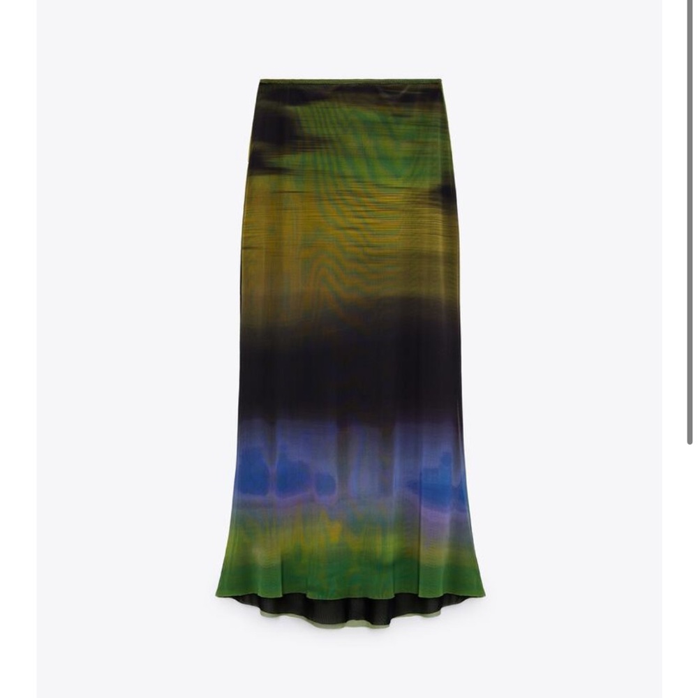 Zara maxi skirt
